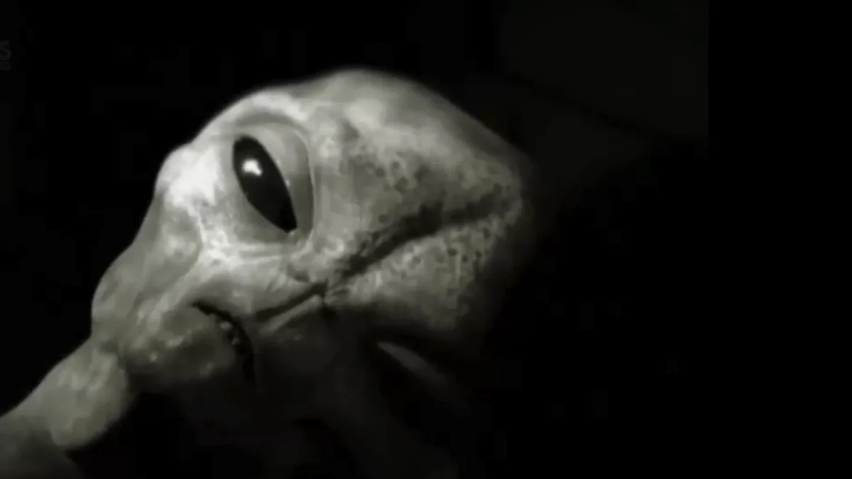 Still from my 2002 alien video